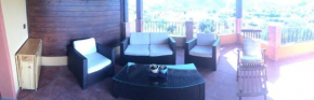 Collinemariesi
